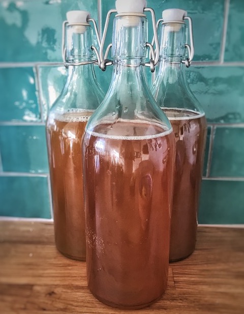 Kombucha-Flachen selbst abgefüllt